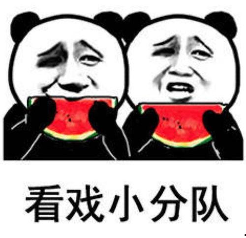 娱乐吃瓜了的视频,揭秘热门视频背后的幕后故事